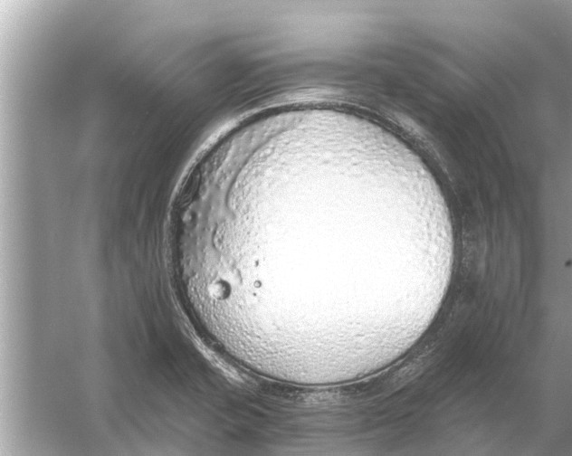 X0000056031421200509170024