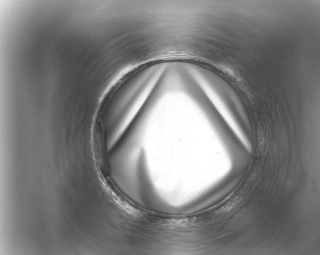 X0000056031422200509170025