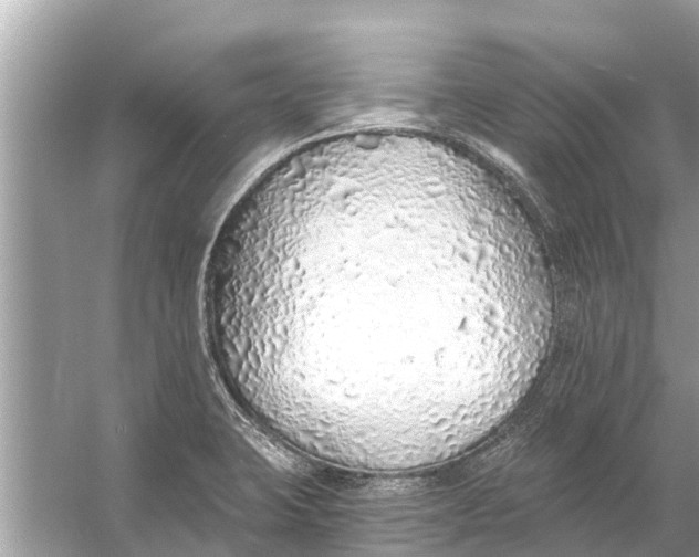 X0000056031423200509170025