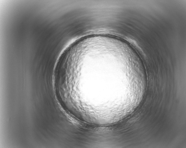 X0000056031424200509170025