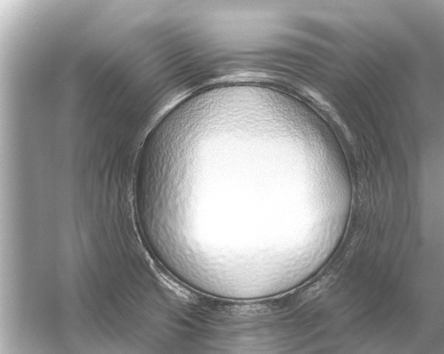 X0000056031425200509170025