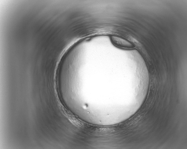 X0000056031427200509170025