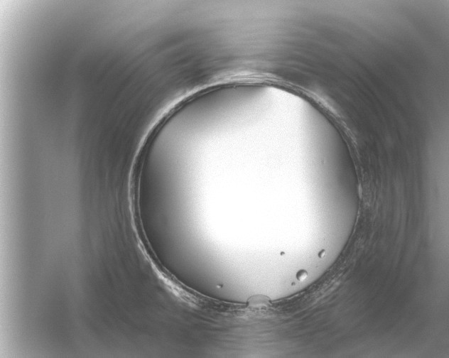 X0000056031430200509170025