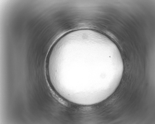 X0000056031431200509170025