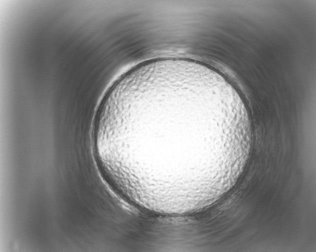 X0000056031432200509170025