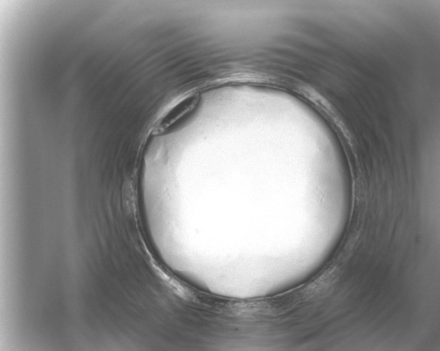 X0000056031433200509170025