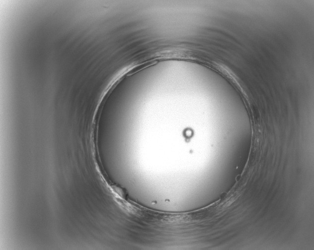 X0000056031434200509170025