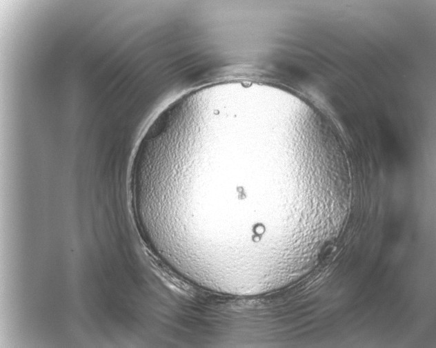 X0000056031435200509170025