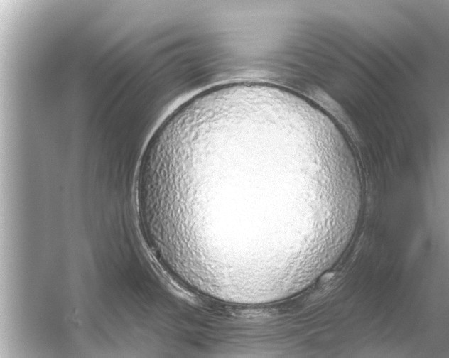 X0000056031436200509170025