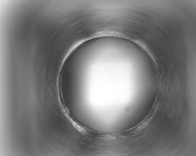 X0000056031438200509170025