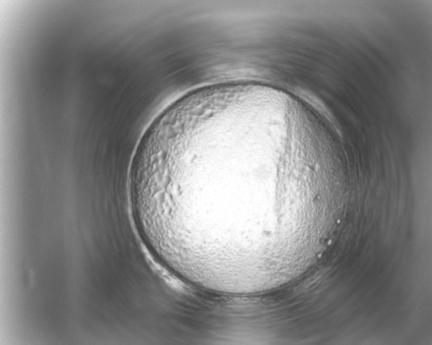 X0000056031439200509170025