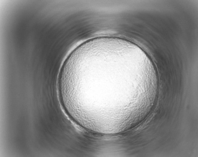 X0000056031440200509170025