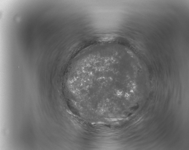 X0000056031441200509170024