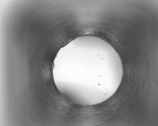 X0000056031442200509170024