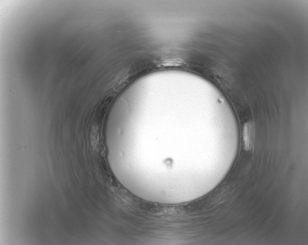 X0000056031443200509170024