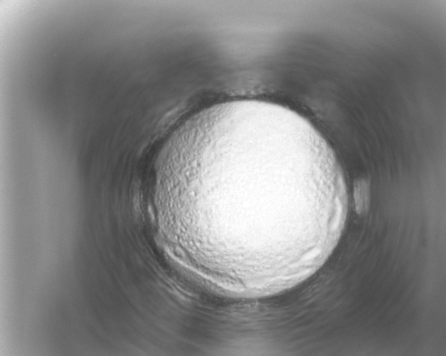 X0000056031444200509170024