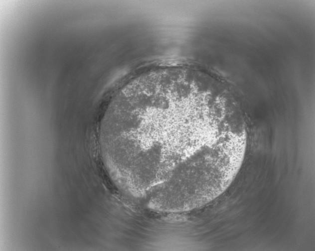 X0000056031446200509170024