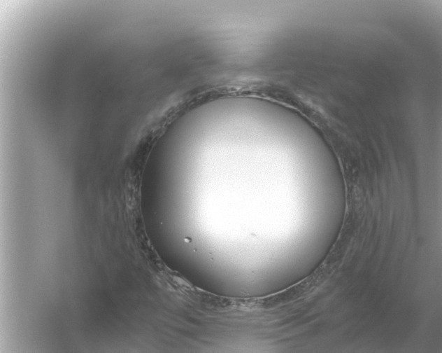 X0000056031447200509170024