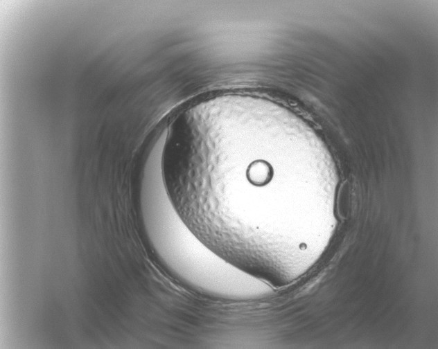 X0000056031449200509170024