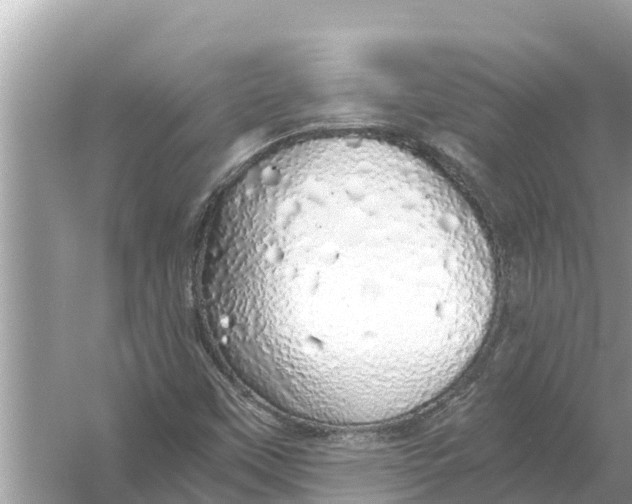 X0000056031451200509170024