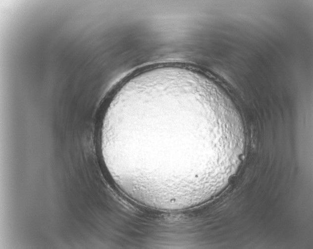 X0000056031452200509170024