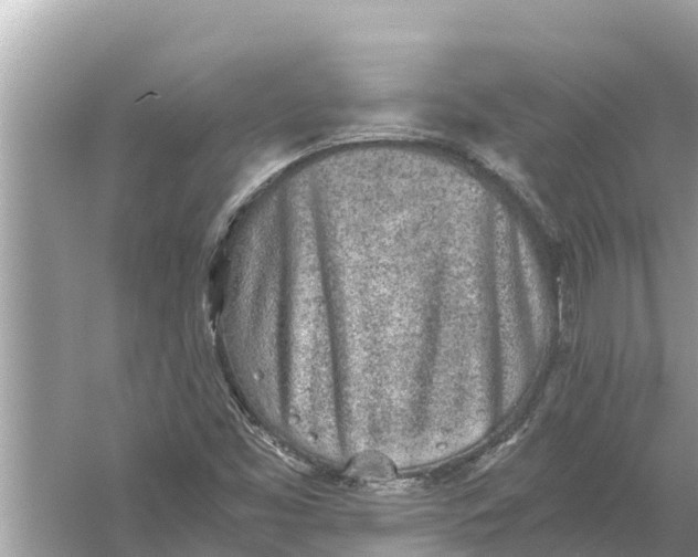 X0000056031453200509170024