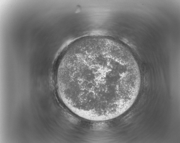 X0000056031454200509170024