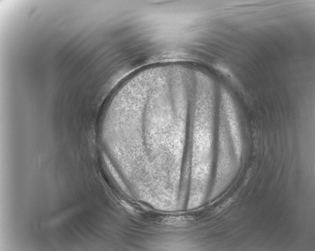 X0000056031457200509170024