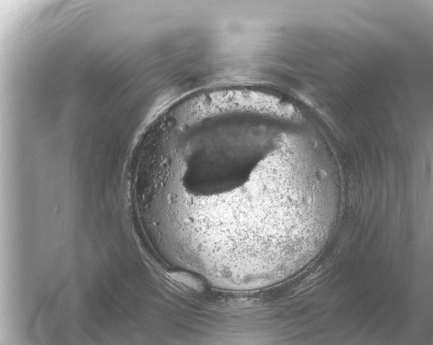 X0000056031459200509170024