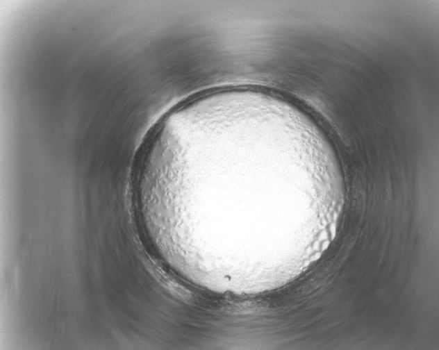 X0000056031460200509170024