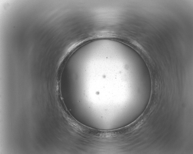 X0000056031461200509170024