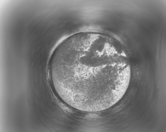 X0000056031462200509170024