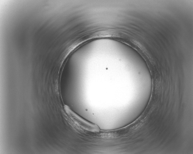 X0000056031465200509170024