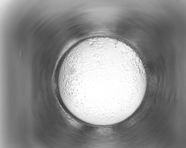 X0000056031466200509170024