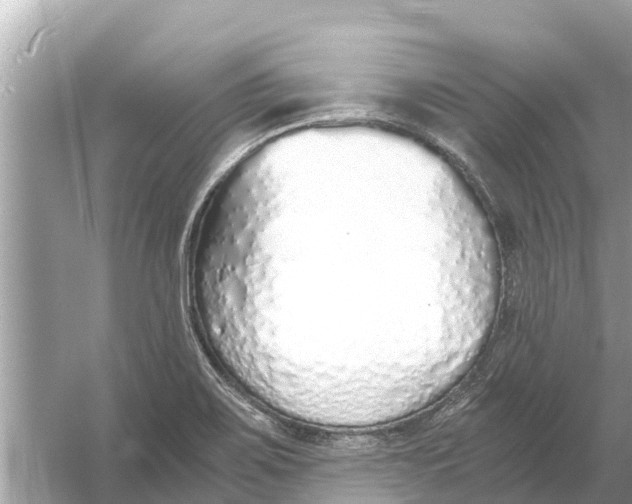 X0000056031467200509170024