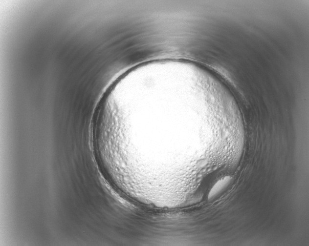 X0000056031468200509170024