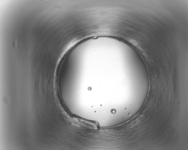 X0000056031469200509170024