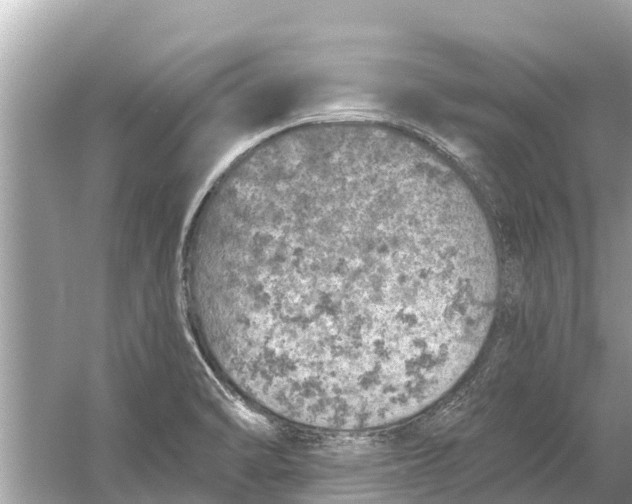 X0000056031470200509170023