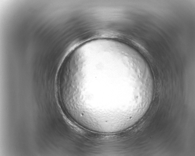 X0000056031471200509170023