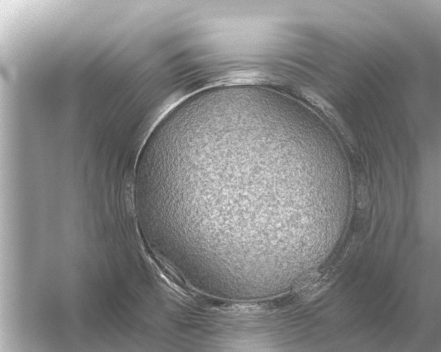 X0000056031473200509170023