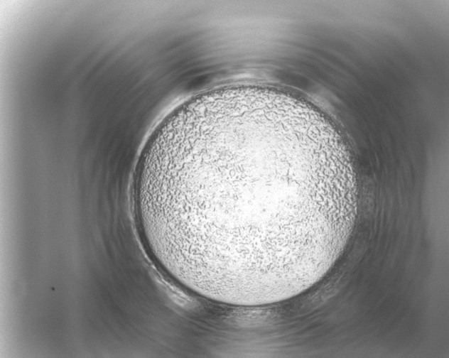 X0000056031474200509170023