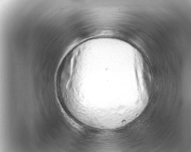 X0000056031475200509170023