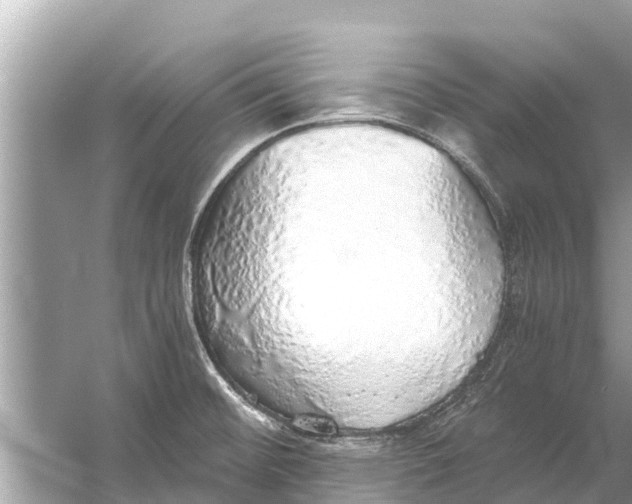 X0000056031476200509170023