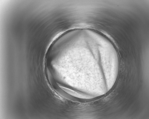 X0000056031477200509170023