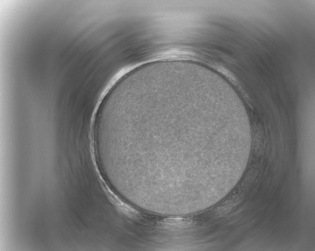 X0000056031478200509170023