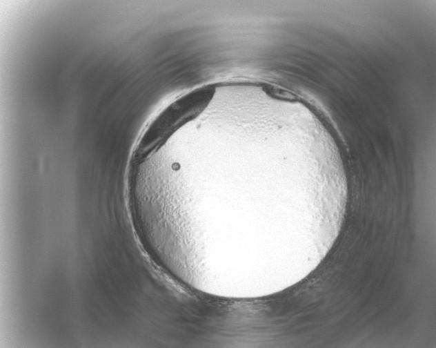 X0000056031480200509170023