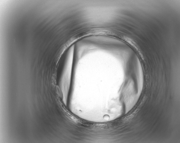 X0000056031481200509170023