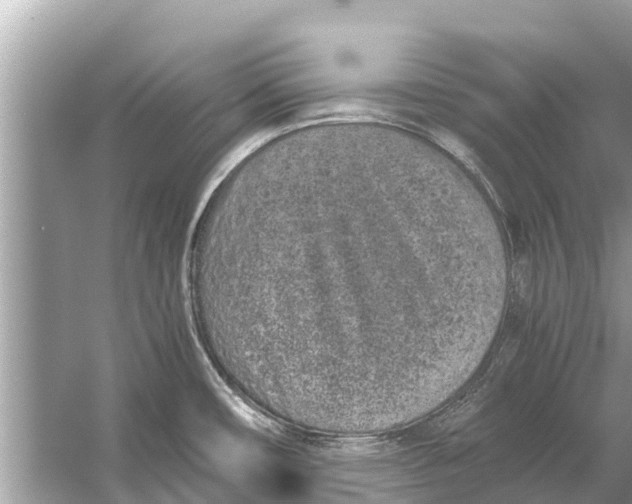 X0000056031482200509170023