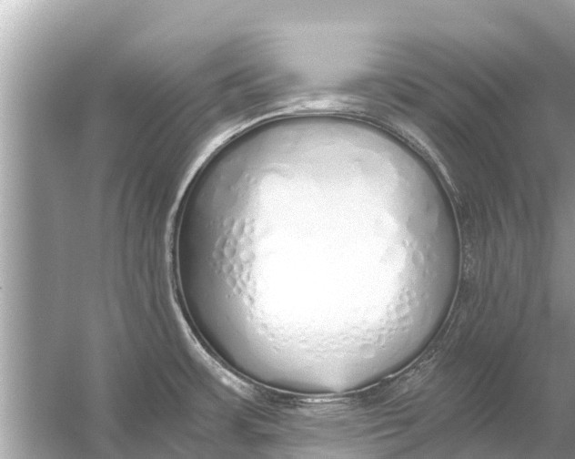 X0000056031483200509170023