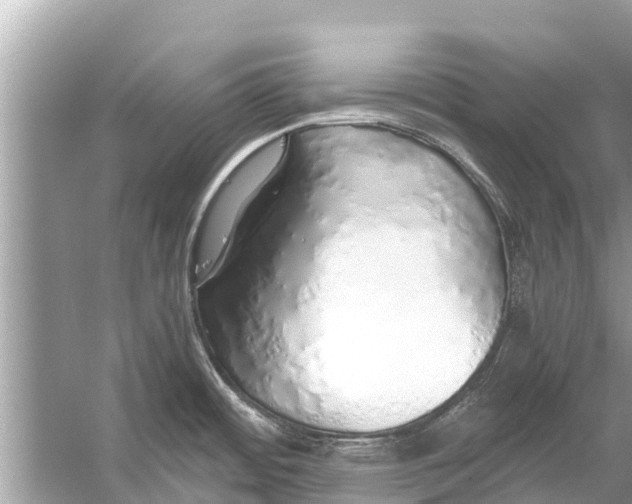 X0000056031484200509170023